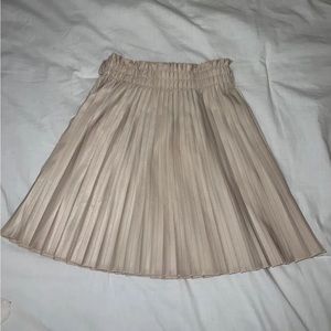 Pleated Skirt